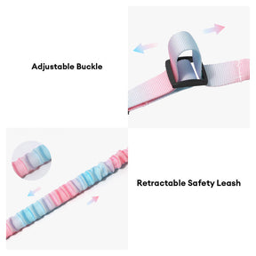 Ceinture de sécurité pour animaux avec amorti élastique dégradé