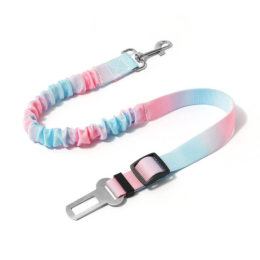 Ceinture de sécurité pour animaux avec amorti élastique dégradé