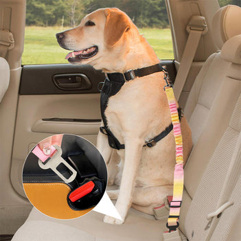 Ceinture de sécurité pour animaux avec amorti élastique dégradé