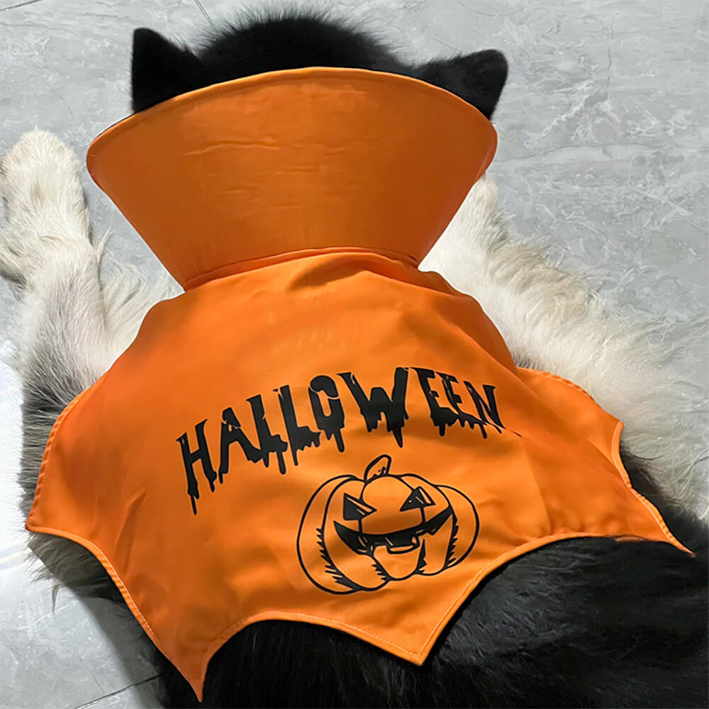 Costume de chauve-souris pour chien Halloween