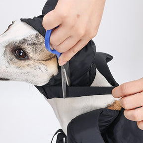 Costume pour animal de compagnie Cape de Sorcière d'Halloween