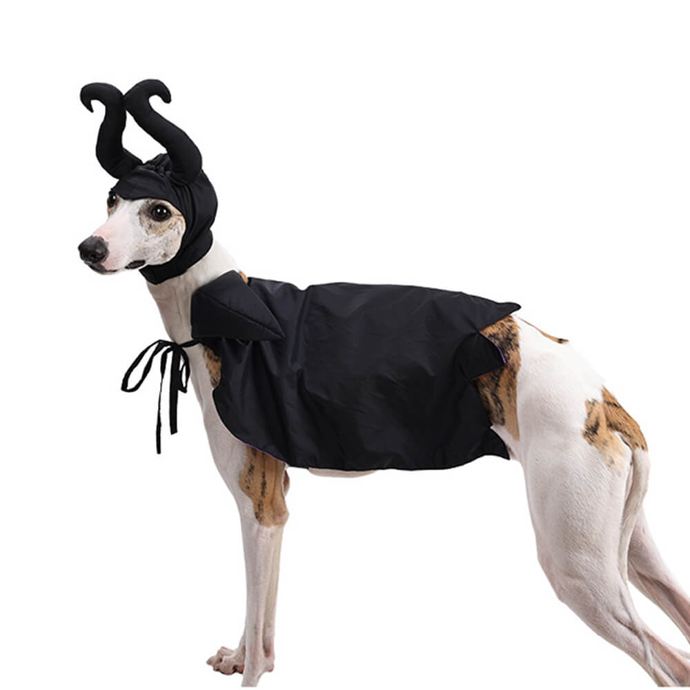 Costume pour animal de compagnie Cape de Sorcière d'Halloween