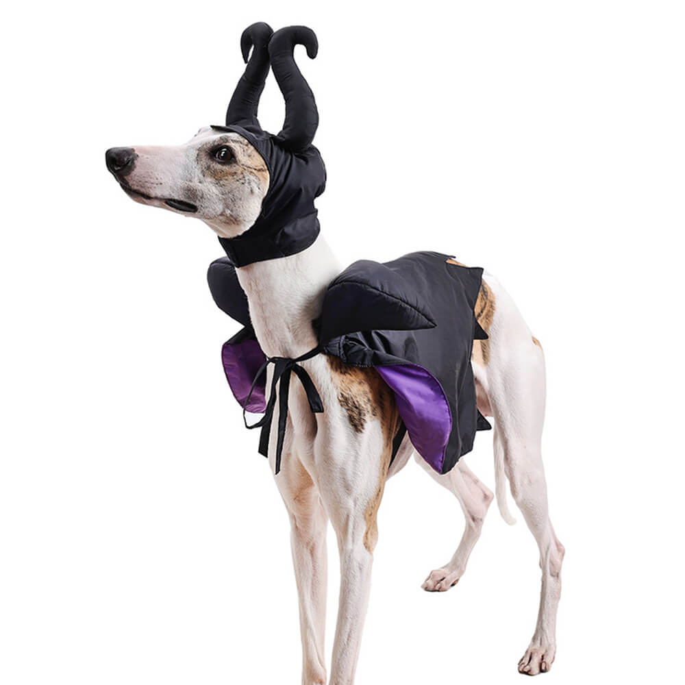 Costume pour animal de compagnie Cape de Sorcière d'Halloween