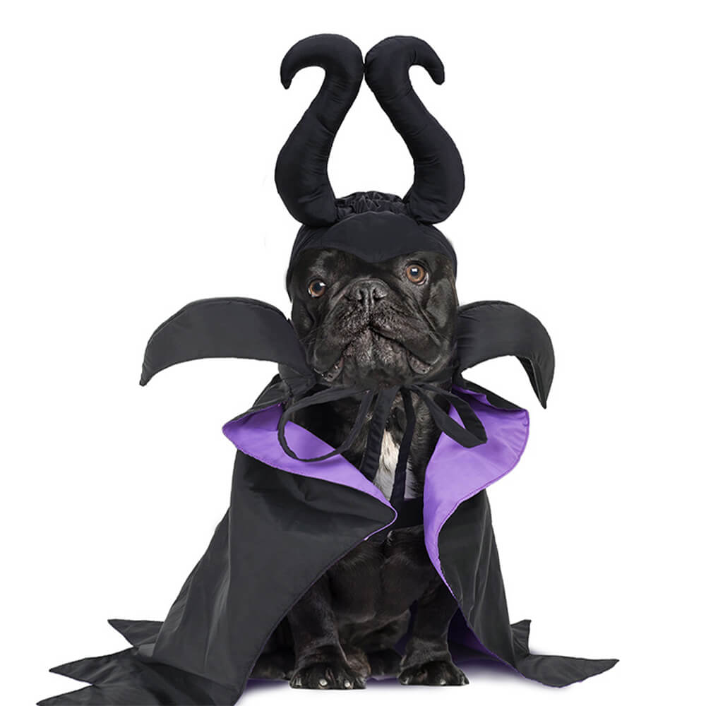 Costume pour animal de compagnie Cape de Sorcière d'Halloween