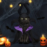 Costume pour animal de compagnie Cape de Sorcière d'Halloween