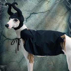 Costume pour animal de compagnie Cape de Sorcière d'Halloween