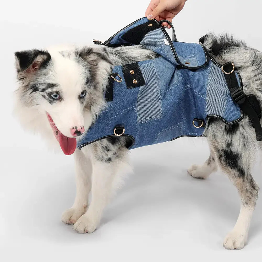 Sac à dos porte-chien mains libres pour les voyages et la randonnée – Sac multifonctionnel pour chiens de taille moyenne