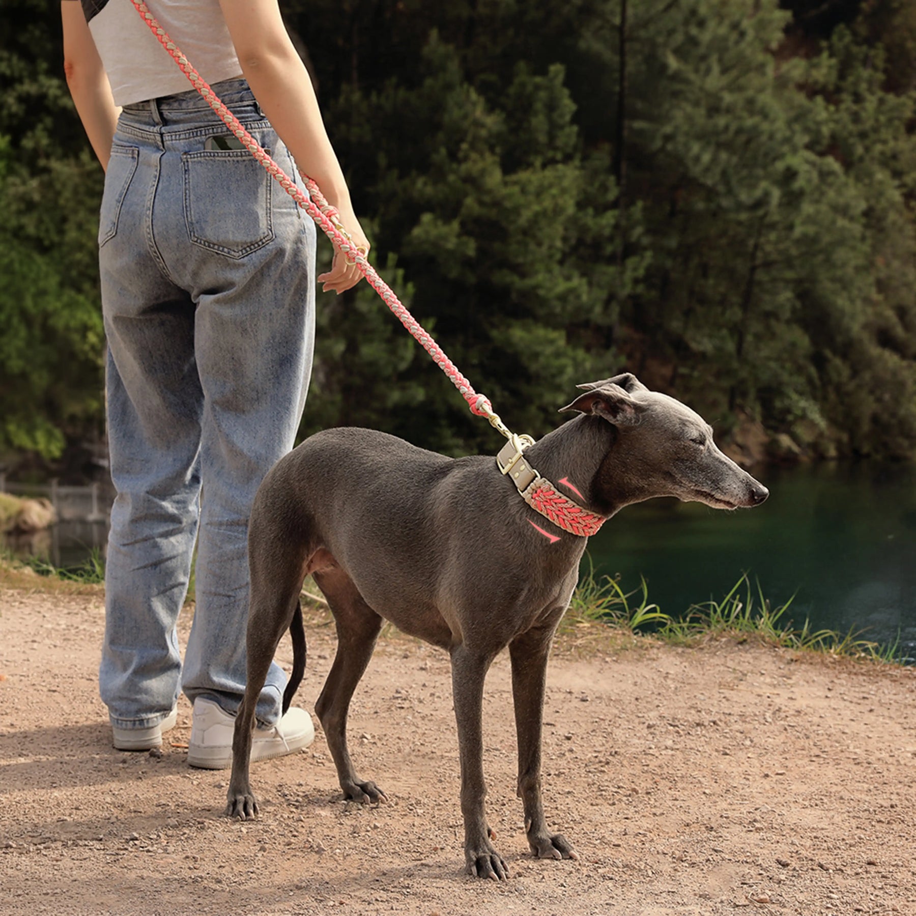La laisse pour chien en nylon tissée à la main et de qualité supérieure pour chiens de taille moyenne et grande.