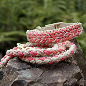 La laisse pour chien en nylon tissée à la main et de qualité supérieure pour chiens de taille moyenne et grande.