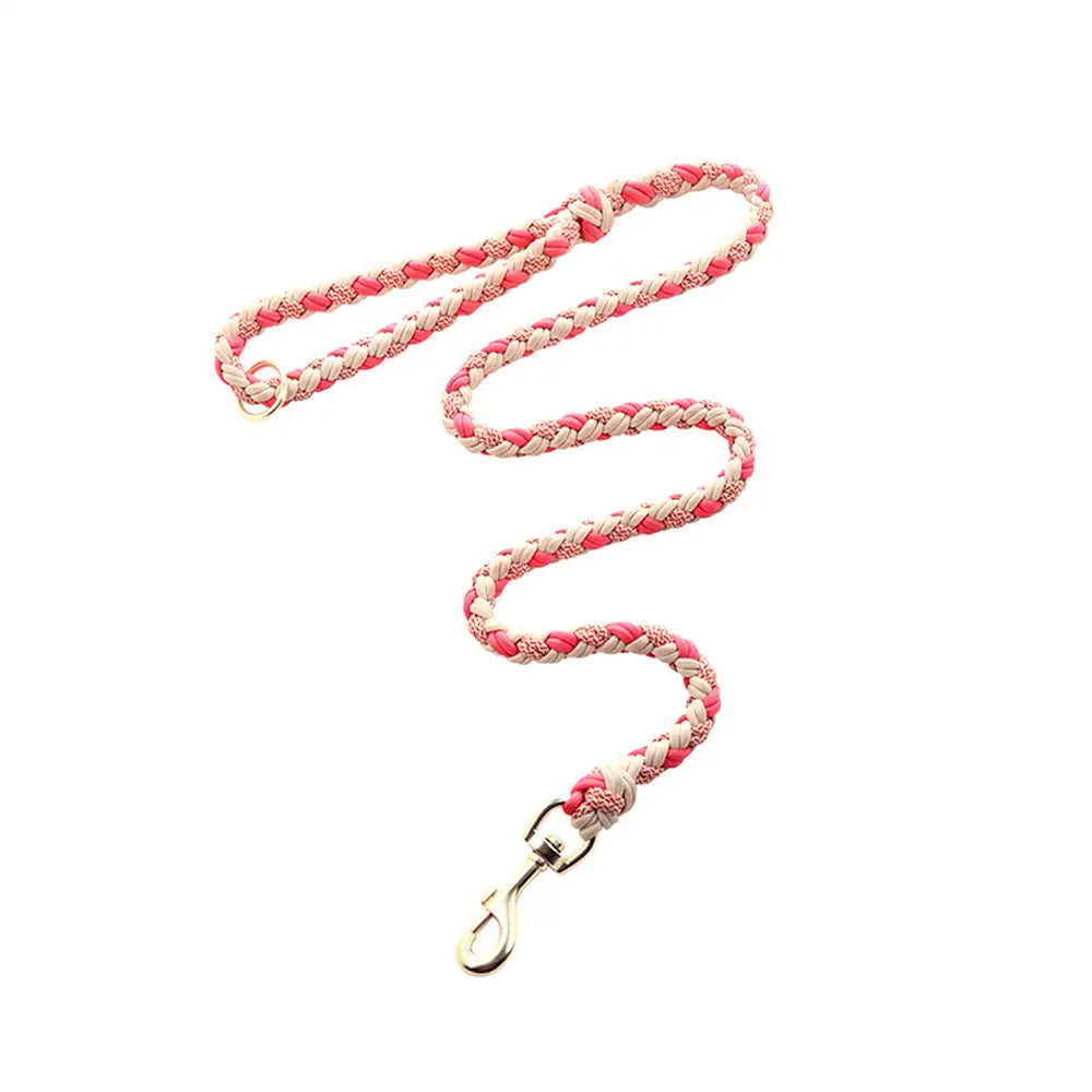 La laisse pour chien en nylon tissée à la main et de qualité supérieure pour chiens de taille moyenne et grande.