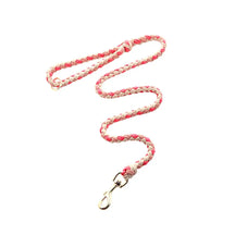 La laisse pour chien en nylon tissée à la main et de qualité supérieure pour chiens de taille moyenne et grande.