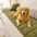 Tapis de protection pour canapé anti-rayures, résistant aux taches, toutes saisons – Rétro