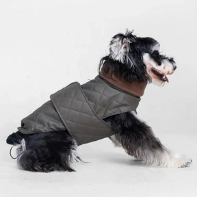 Gilet pour chien matelassé à col montant - Manteau d'hiver chaud et tendance