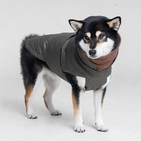 Gilet pour chien matelassé à col montant - Manteau d'hiver chaud et tendance