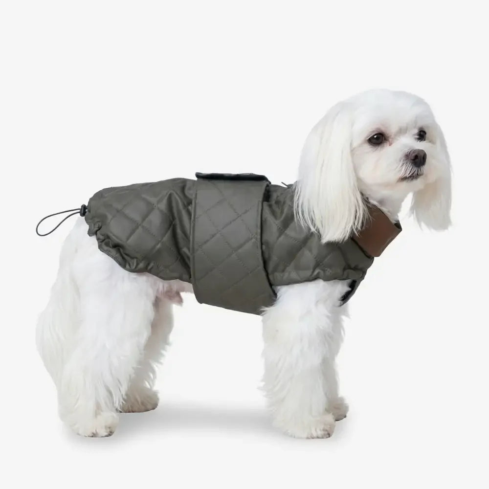 Gilet pour chien matelassé à col montant - Manteau d'hiver chaud et tendance
