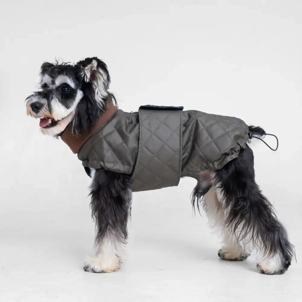 Gilet pour chien matelassé à col montant - Manteau d'hiver chaud et tendance