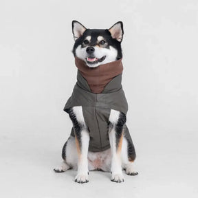 Gilet pour chien matelassé à col montant - Manteau d'hiver chaud et tendance