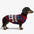 Pull pour chien sans manches en tricot Jacquard épais – Conçu pour les Teckels, Bouledogues français et Carlin.