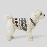 Pull pour chien en diamant Fair Isle tricoté