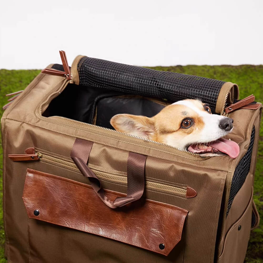 Transport Sac à Dos pour Animaux de Compagnie Grand Espace Maille Respirante Imperméable Voyage