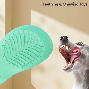 Jouet en latex interactif pour chien résistant nettoyant les dents