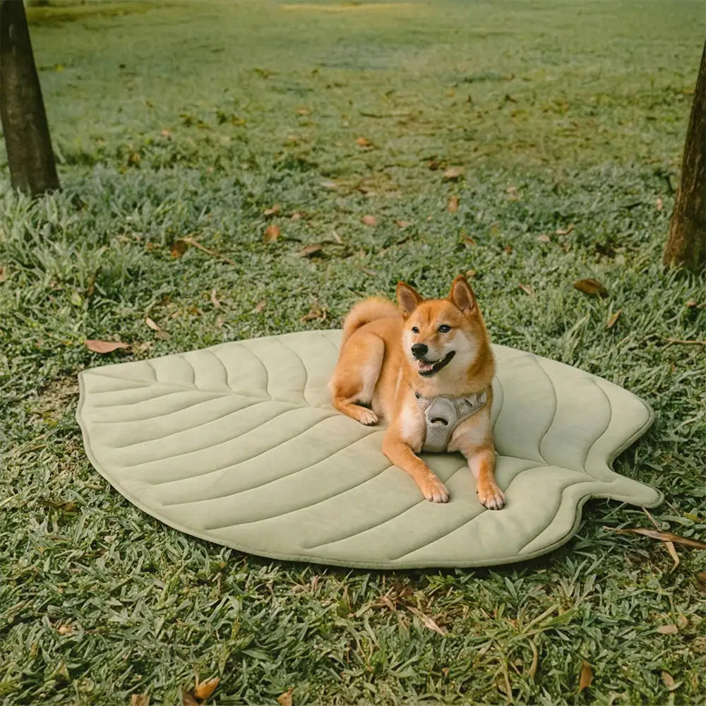 Tapis pour chien et chat en tissu rafraîchissant en forme de feuille, absorbant la chaleur, confortable et antidérapant.