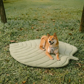 Tapis pour chien et chat en tissu rafraîchissant en forme de feuille, absorbant la chaleur, confortable et antidérapant.