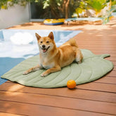 Tapis pour chien et chat en tissu rafraîchissant en forme de feuille, absorbant la chaleur, confortable et antidérapant.