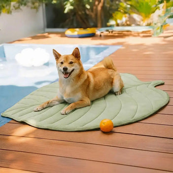 Tapis pour chien et chat en tissu rafraîchissant en forme de feuille, absorbant la chaleur, confortable et antidérapant.