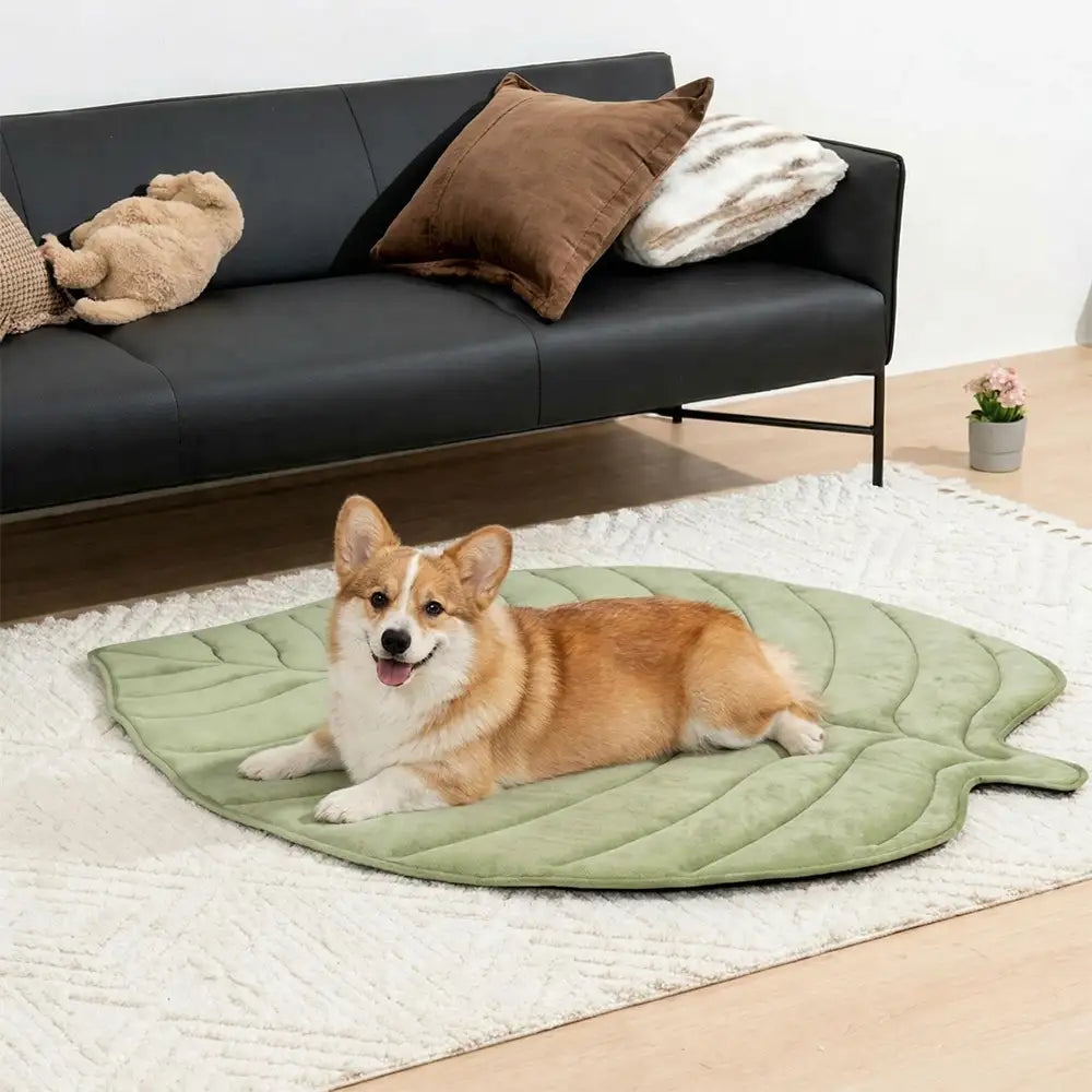 Tapis pour chien et chat en tissu rafraîchissant en forme de feuille, absorbant la chaleur, confortable et antidérapant.