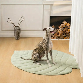 Tapis pour chien et chat en tissu rafraîchissant en forme de feuille, absorbant la chaleur, confortable et antidérapant.
