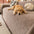 Housse de canapé en chenille à motif ligneux, confortable et résistante aux éraflures