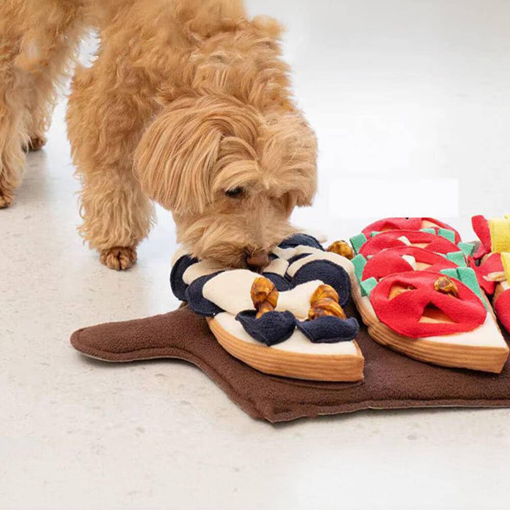 Tapis de Fouille Jouet pour Chien avec Squeaky et Slow Feeder Saveur Multi