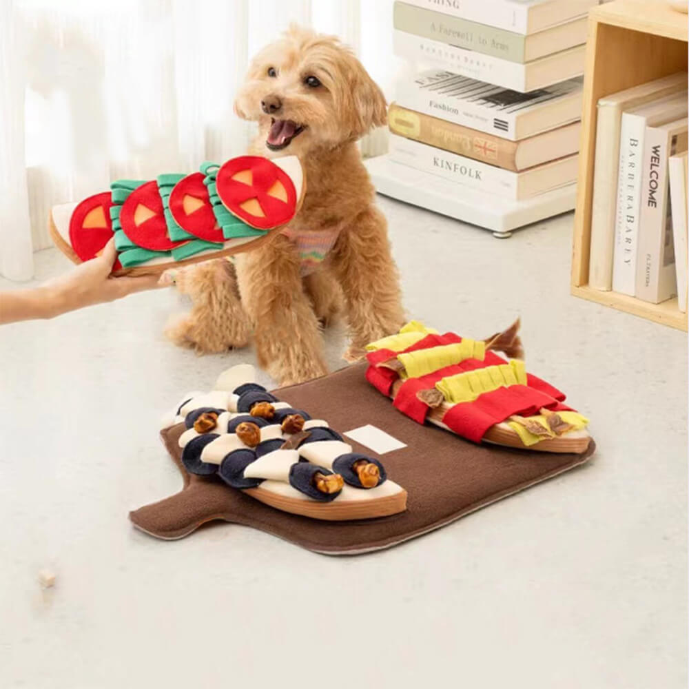 Tapis de Fouille Jouet pour Chien avec Squeaky et Slow Feeder Saveur Multi