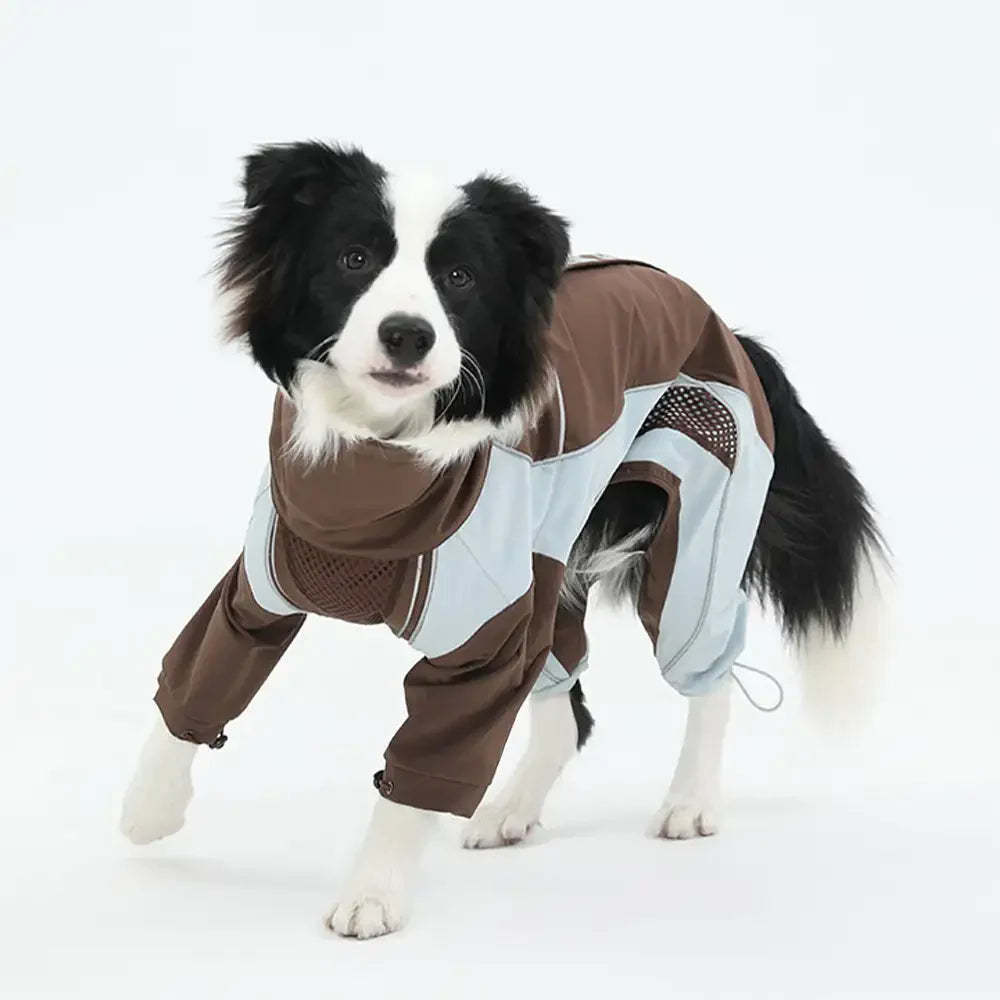 Veste coupe-vent imperméable multifonctionnelle pour chiens de taille moyenne et grande.