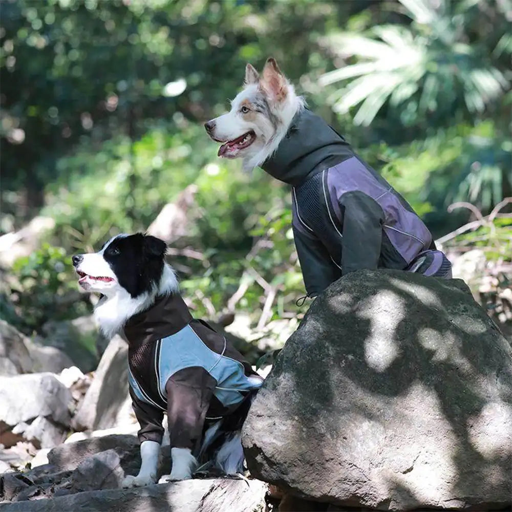Veste coupe-vent imperméable multifonctionnelle pour chiens de taille moyenne et grande.