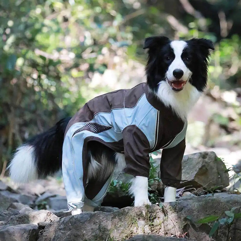 Veste coupe-vent imperméable multifonctionnelle pour chiens de taille moyenne et grande.