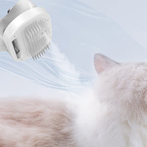 Brosse de démêlage multifonctionnelle pour animaux avec fonction sèche-cheveux à vapeur