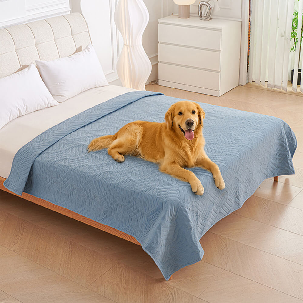 Couverture de lit pour chien multifonctionnelle imperméable résistante à l’eau et lavable