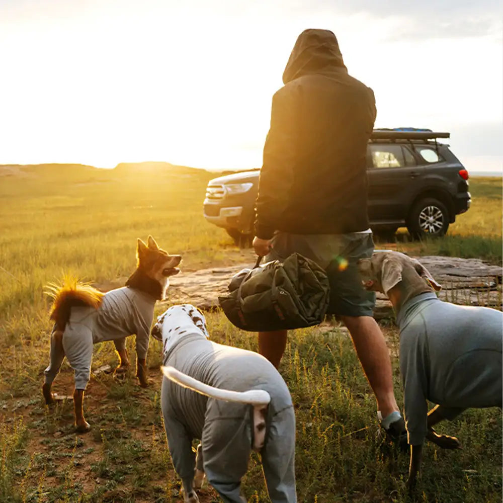 Litière portable pour chien imperméable et résistante à l'humidité pour camping en plein air.