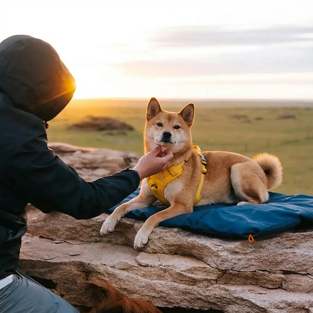 Litière portable pour chien imperméable et résistante à l'humidité pour camping en plein air.