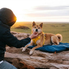Litière portable pour chien imperméable et résistante à l'humidité pour camping en plein air.
