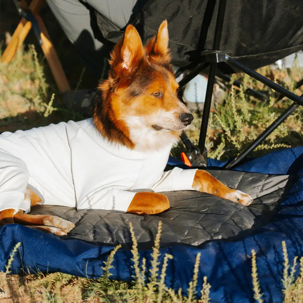 Litière portable pour chien imperméable et résistante à l'humidité pour camping en plein air.