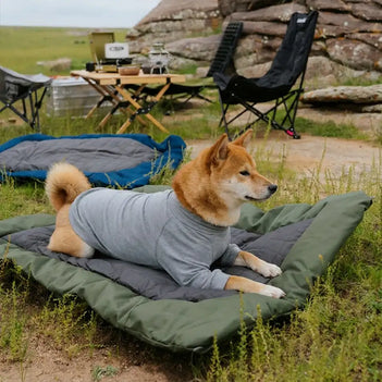 Litière portable pour chien imperméable et résistante à l'humidité pour camping en plein air.