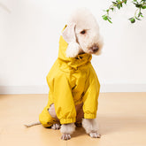 Veste de pluie légère imperméable pour chien avec capuche