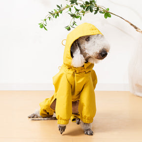 Veste de pluie légère imperméable pour chien avec capuche