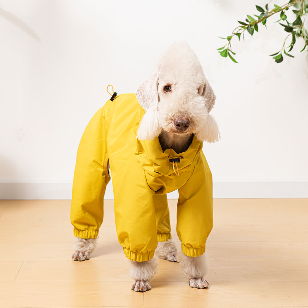 Veste de pluie légère imperméable pour chien avec capuche