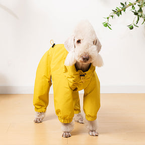 Veste de pluie légère imperméable pour chien avec capuche