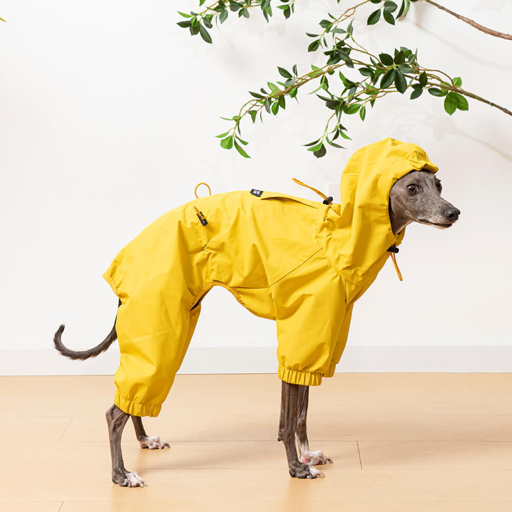 Veste de pluie légère imperméable pour chien avec capuche