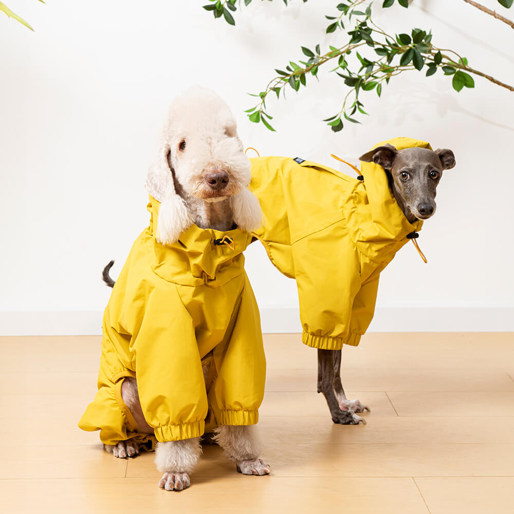 Veste de pluie légère imperméable pour chien avec capuche